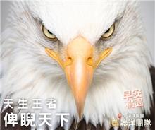 🦅想要征服天空，你需要的不是一雙翅膀，而是一個想飛的夢想🚀  #我想要  #我做到  💡 歡迎加入#太平洋房屋中正藝文店 !
